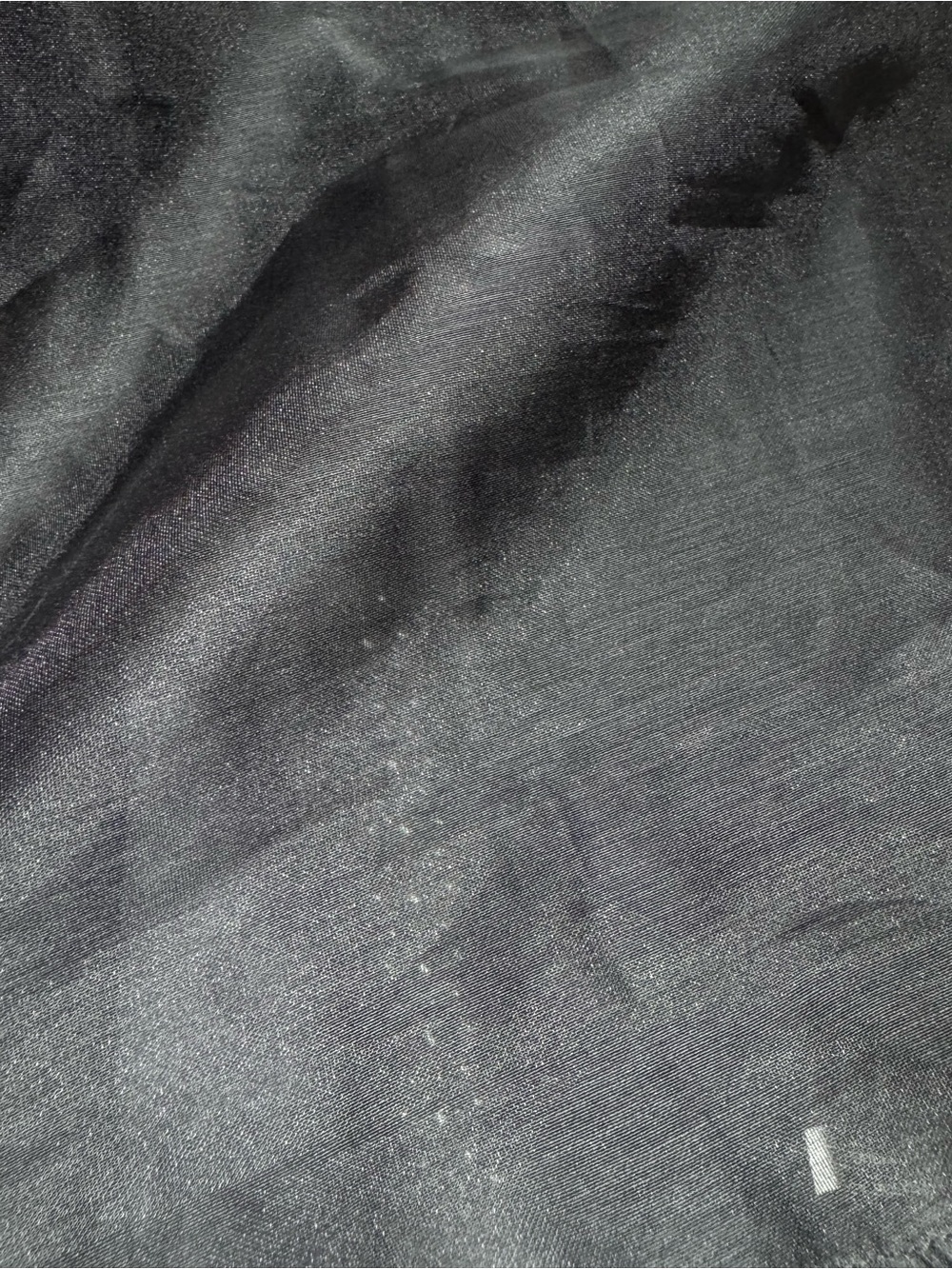Boston Proper Black Sheer Pearl Embellished Button Down Blouse LG Goth Romantic - Picture 10 of 13